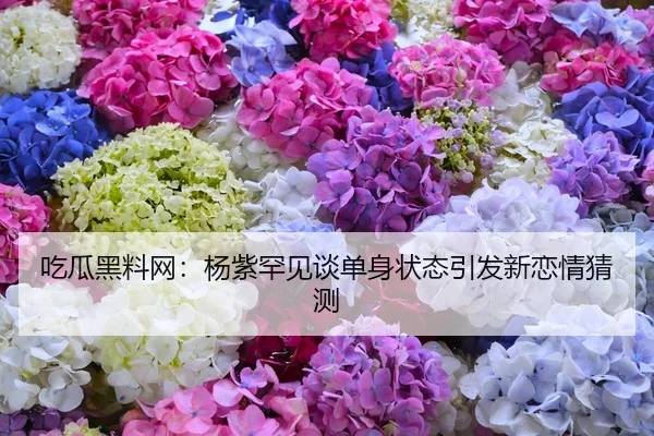 吃瓜黑料网：杨紫罕见谈单身状态引发新恋情猜测